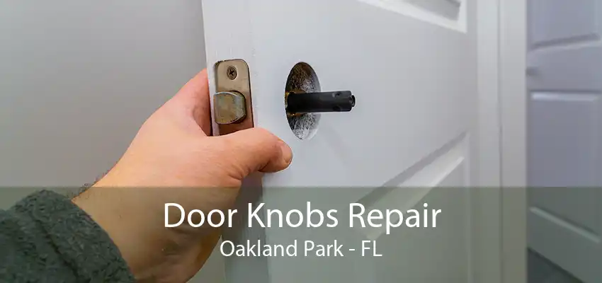 Door Knobs Repair Oakland Park - FL