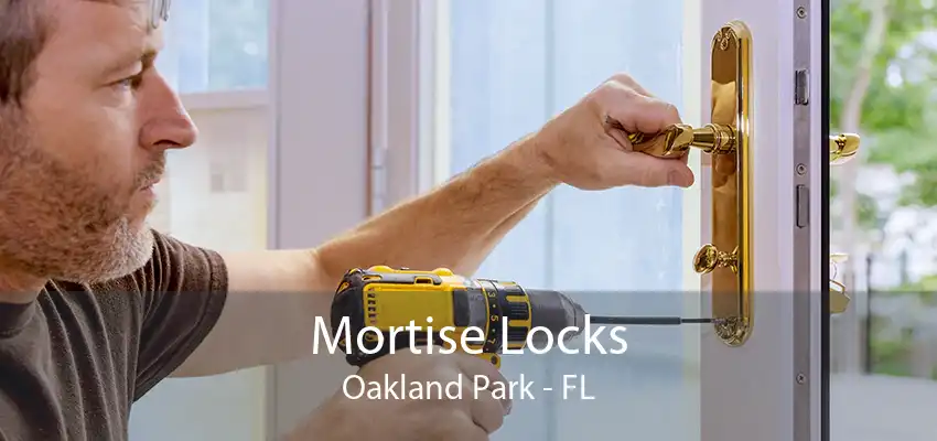 Mortise Locks Oakland Park - FL